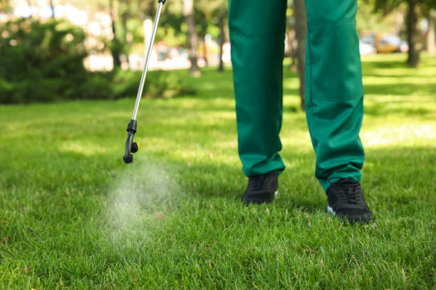Best Flea Control Services  in Morgan Hill, PA