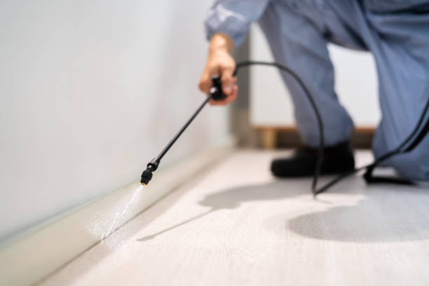 Professional Pest Control in Morgan Hill, PA