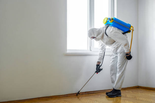Best Bed Bug Extermination  in Morgan Hill, PA